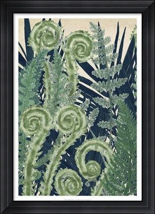 Framed Fiddlehead Waltz I Print