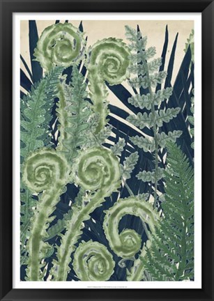 Framed Fiddlehead Waltz I Print