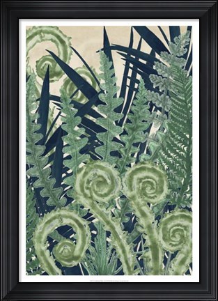 Framed Fiddlehead Waltz II Print