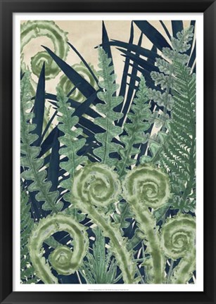 Framed Fiddlehead Waltz II Print