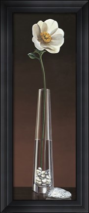 Framed Anemone Haiku Print