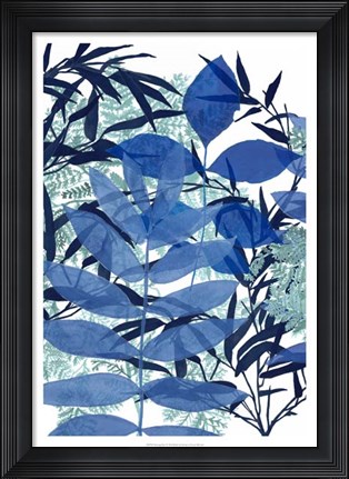 Framed Morning Dew I Print