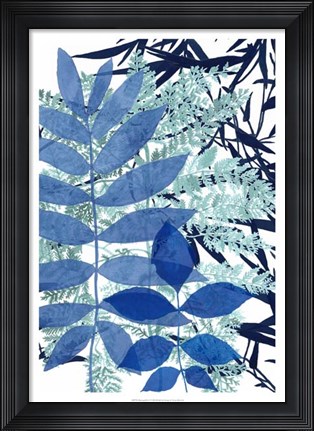 Framed Morning Dew II Print