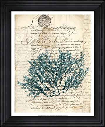 Framed Vintage Teal Seaweed I Print