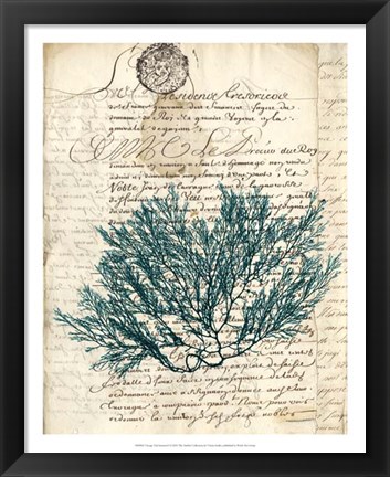 Framed Vintage Teal Seaweed I Print