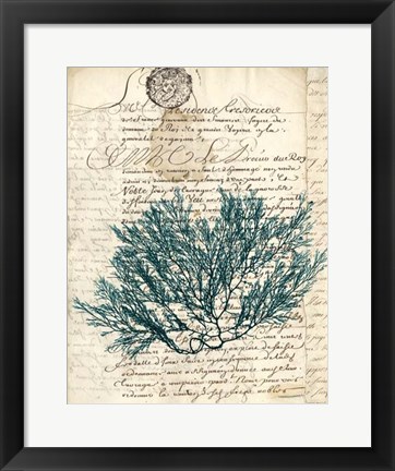 Framed Vintage Teal Seaweed I Print