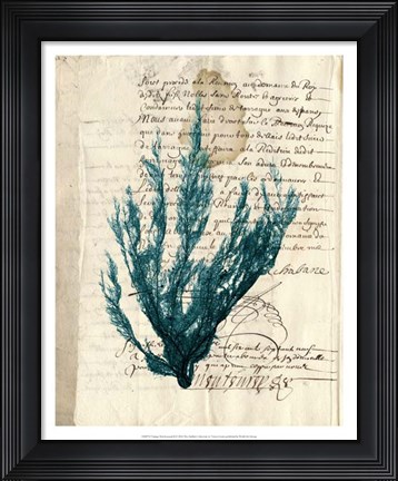 Framed Vintage Teal Seaweed II Print