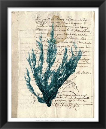 Framed Vintage Teal Seaweed II Print