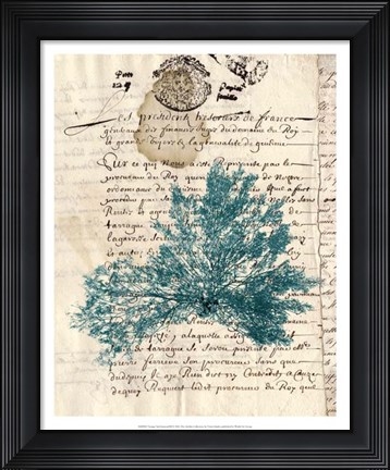 Framed Vintage Teal Seaweed III Print