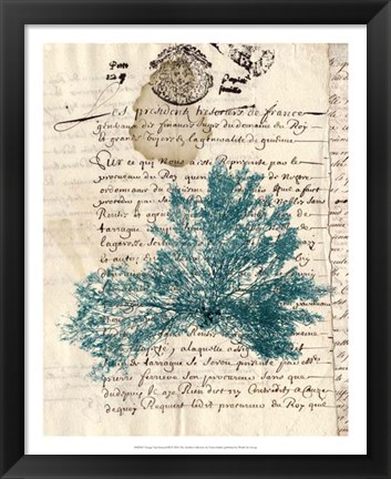 Framed Vintage Teal Seaweed III Print