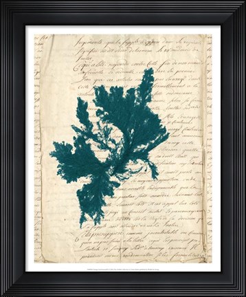 Framed Vintage Teal Seaweed IV Print
