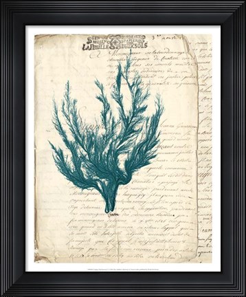 Framed Vintage Teal Seaweed V Print