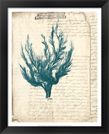 Framed Vintage Teal Seaweed V Print