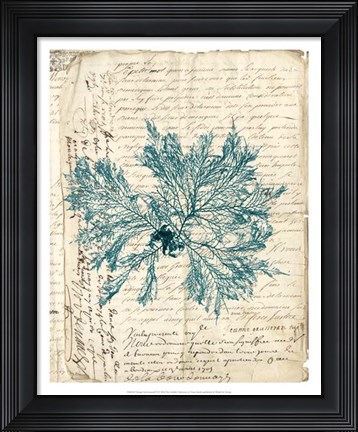 Framed Vintage Teal Seaweed VI Print
