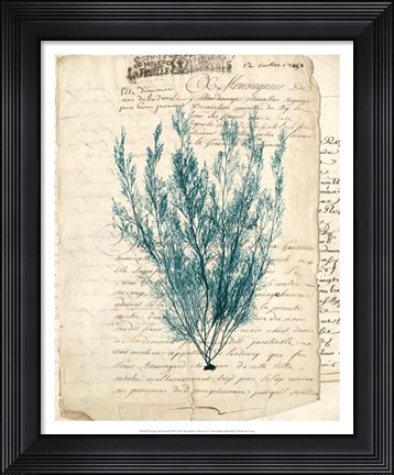 Framed Vintage Teal Seaweed VII Print