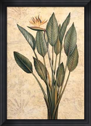 Framed Palms of the Tropics III Print