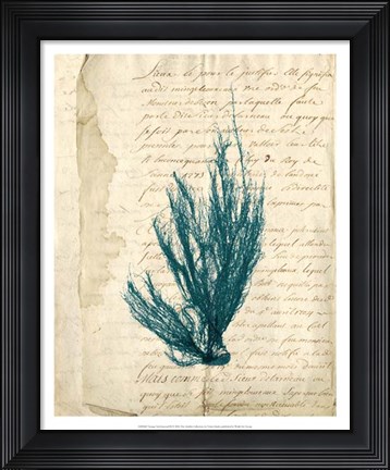 Framed Vintage Teal Seaweed IX Print