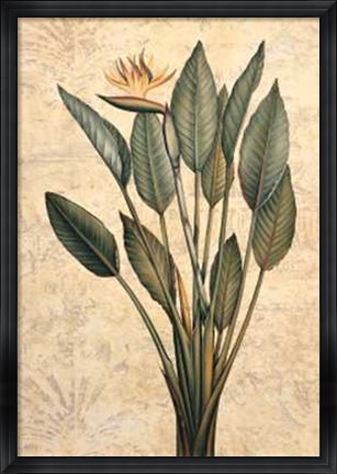Framed Palms of the Tropics III Print