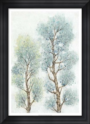 Framed Tranquil Tree Tops II Print