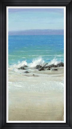 Framed Salt Spray II Print