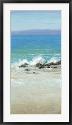 Framed Salt Spray II Print