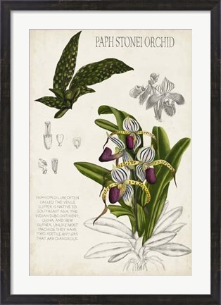 Framed Orchid Field Notes I Print
