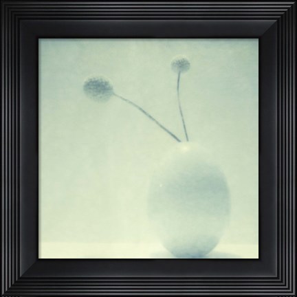 Framed Color Shade II Print
