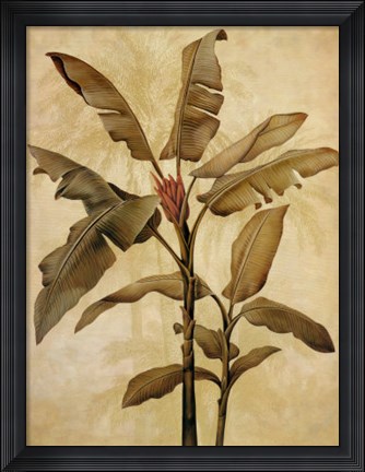 Framed Palms of the Tropics I Print