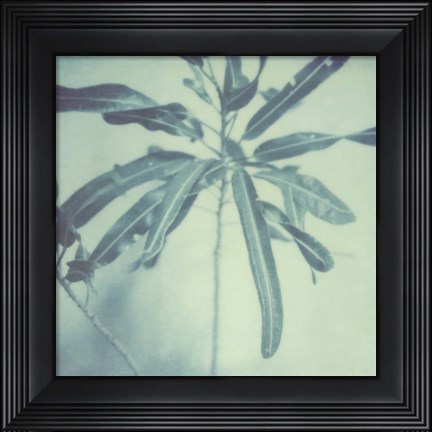 Framed Color Shade VIII Print