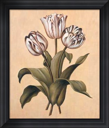 Framed Tulips II Print