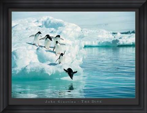 Framed Dive Print