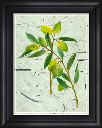 Framed Olives on Textured Paper I Print