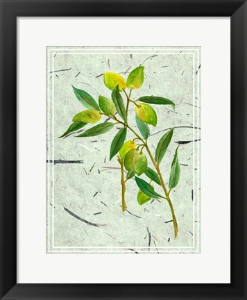 Framed Olives on Textured Paper I Print