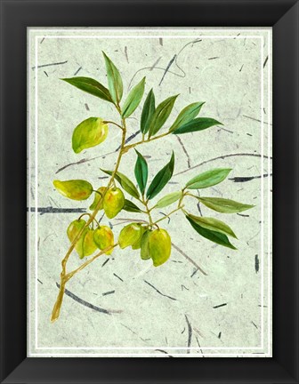 Framed Olives on Textured Paper II Print