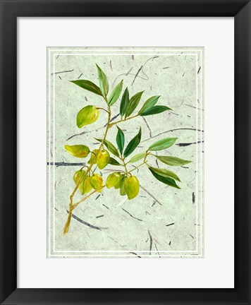 Framed Olives on Textured Paper II Print