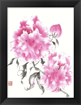 Framed Peonie Blossoms I Print