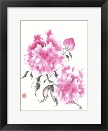 Framed Peonie Blossoms I Print