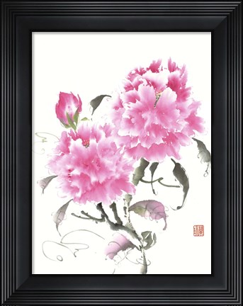 Framed Peonie Blossoms II Print