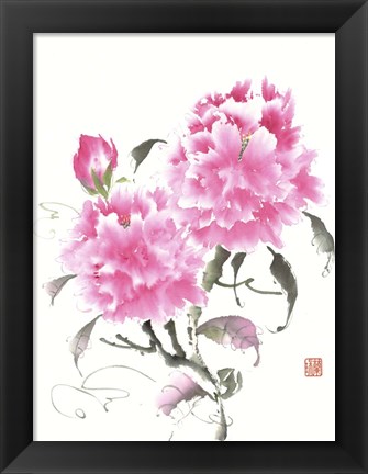 Framed Peonie Blossoms II Print