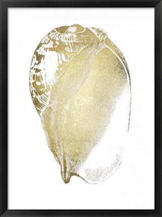 Framed Gold Foil Shell IV Print