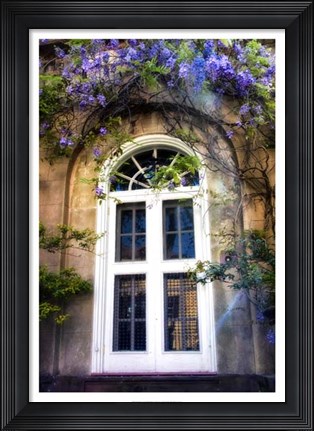 Framed Wisteria Print