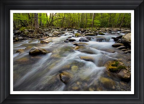 Framed Golden Flow Print