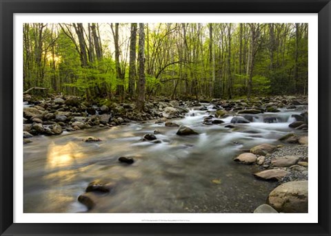 Framed Morning Sunshine I Print