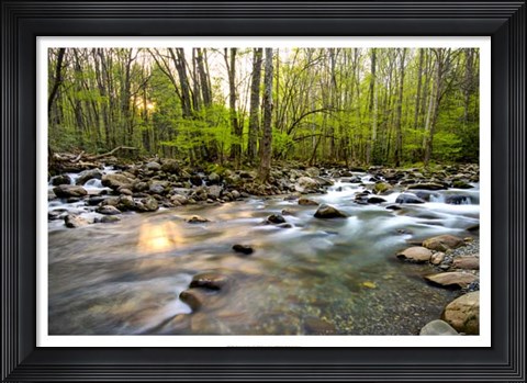 Framed Morning Sunshine II Print