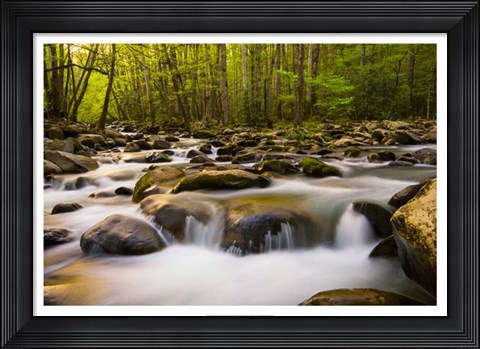 Framed Warm Morning Light Print