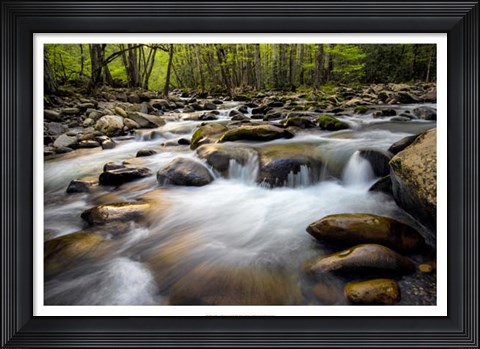 Framed Spring on Porters Creek Print