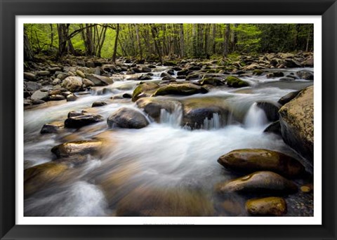 Framed Spring on Porters Creek Print