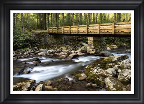 Framed Bridge and Cascade I Print