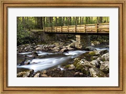 Framed Bridge and Cascade I Print