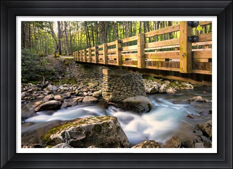 Framed Bridge and Cascade II Print